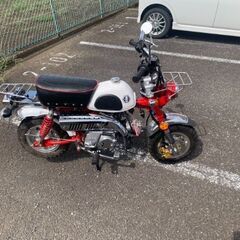 中華モンキーの画像