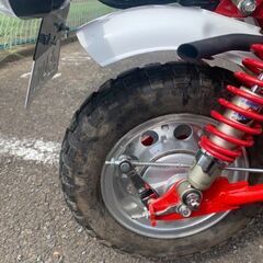 中華モンキーの画像