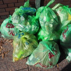 ゴミ拾いボランティア