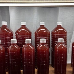 メダカ、エサ切りや水換え後に🩸の画像