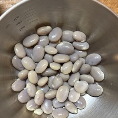 【急募】ムクナ豆（八升豆）ほしい方‼️