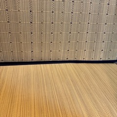 極美品 110×55 厚め　マットレスの画像