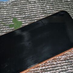 iPhone 17 Pro MAX　256GB　ベトナム版　物理 SIM OK シャッター音なし　1ヶ月弱の使用の画像