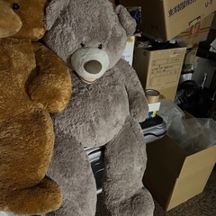 大きなクマのぬいぐるみ3体まとめの画像