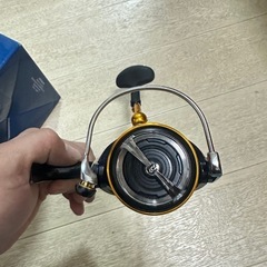 ダイワ Revros LT4000-CHの画像