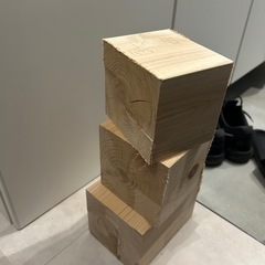 檜/ひのきの画像