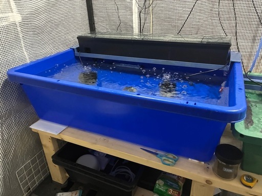 美品 ブルコン角タブ180トロ舟 プラ舟 排水栓付