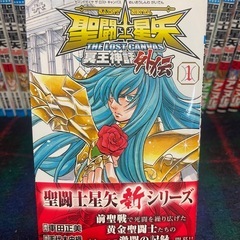 聖闘士星矢 THE LOST CANVAS 冥王神話　25巻全巻セット　外伝版6巻　帯あり付き コミック 漫画 聖闘士星矢の画像