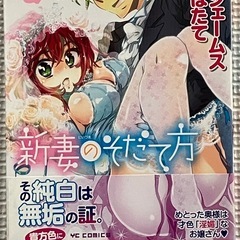 新妻のそだて方　全3巻の画像