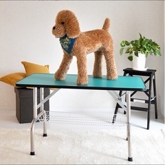 決まりました！の画像