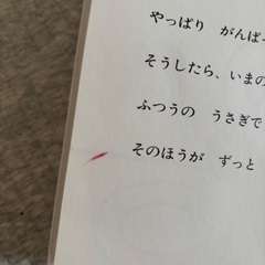 うさこちゃんシリーズ17冊セットの画像