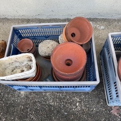 あげます　　植木鉢いろいろの画像