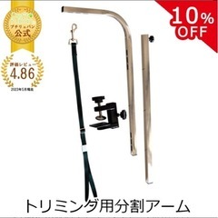 決まりました！の画像