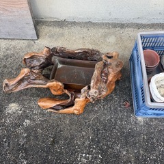 あげます　　植木鉢いろいろの画像