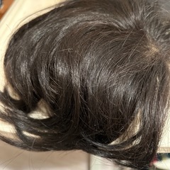 レディースアートネィチヤーの画像