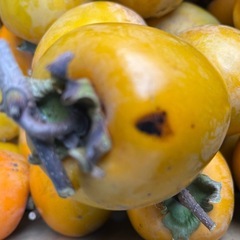 大和柿吊るし用1箱10kgの画像