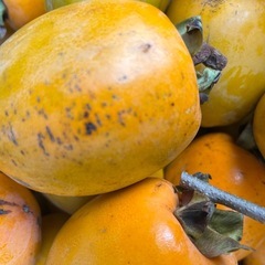 大和柿吊るし用1箱10kgの画像