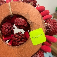 PLEJOUR クリスマスリースの画像