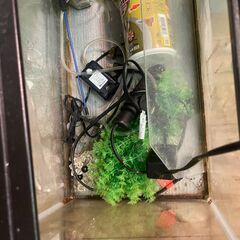 水槽の画像
