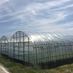 ビニールハウス