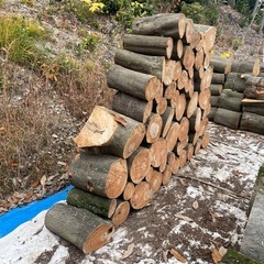 薪　玉切り　白樫（シラカシ）　 の画像