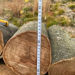 薪　玉切り　白樫（シラカシ）　 の画像