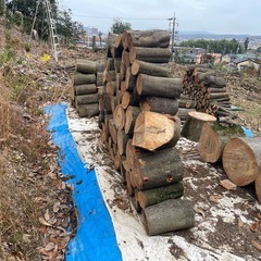 薪　玉切り　白樫（シラカシ）　 の画像