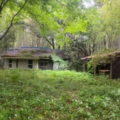 千葉県匝瑳市ジブリ系家のDIYのお手伝いをしてくれる方募集します。の画像