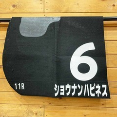 ショウナンハピネス ゼッケン 11R 6 競馬 レース 実使用