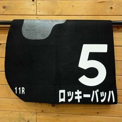 ロッキーバッハ ゼッケン 和田竜二 淀屋橋S JRA 競馬 レー...