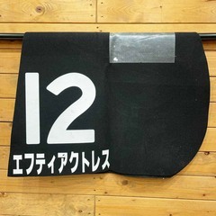 エフティアクトレス ゼッケン 丹内祐次 福島2歳S JRA 競馬 レース 実使用の画像