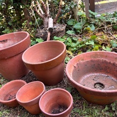 植木鉢まとめての画像
