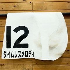 タイムレスメロディ ゼッケン ルメール 3歳未勝利 JRA 競馬 レース 実使用の画像