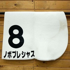 ノボプレシャス ゼッケン 原田和真 直筆サイン入り JRA 競馬 レース 実使用の画像