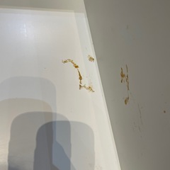 【キャリー付き】【収納】クリーニング済み【管理番号1201】野の画像