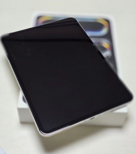 iPad Pro 11インチ M4 シルバー セルラー 256GB