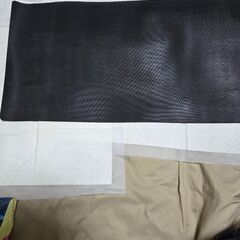 激レアピカチュウ柄のプレイマットの画像