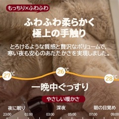 極上ふわとろ 毛布 新品 両面ファー あったか極暖大判140×200cm ラビット調 白の画像