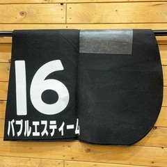 バブルエスティーム ゼッケン 後藤浩輝 エーデルワイスS JRA 競馬 レース 実使用の画像