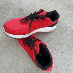 アディダスの靴の画像