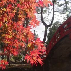 ゆるサ～クル倶楽部　(11/29散策&撮影会📷)