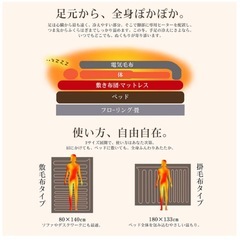 電気毛布 新品 敷き 掛け兼用 節電 10段階タイマー 140×80温度調整 グレーの画像