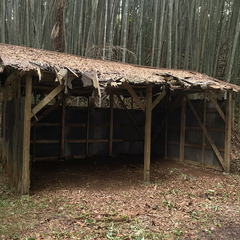 バンブーラボ参加者募集　千葉県匝瑳市　竹垣、家具、竹の小屋、竹の内装外装の研究などの画像