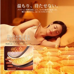 電気毛布 新品 敷き 掛け兼用 節電 10段階タイマー 140×80温度調整 グレーの画像