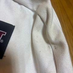 ジャンスポーツ　リュックの画像