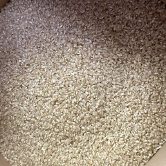 令和７年産　新米ヒノヒカリ　30キロの画像