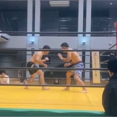 格闘技友達作りませんかの画像