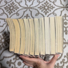 Luck Stealler ラックスティーラー 全巻セットの画像