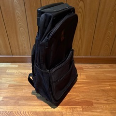 ANIECEHECHTER製キャリー付きリュックサック黒色の画像