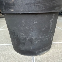 大型　パームツリー　フェイク観葉植物の画像